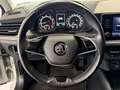 Skoda Kamiq 1.0 TSI SC DSG *Tempomat*AHK*Dachbox* Grau - thumbnail 13