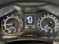 Skoda Kamiq 1.0 TSI SC DSG *Tempomat*AHK*Dachbox* Grau - thumbnail 14