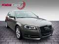 Audi A3 1.6 TDI Ambiente Automatik Navi Leder Grau - thumbnail 1