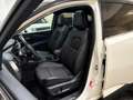 Nissan Qashqai 1.3 mhev Tekna+ 158cv - PREZZO REALE Bianco - thumbnail 10