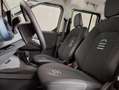 Ford Tourneo Courier Active 1.0 EcoBoost 92kW (125PS) 7-Gang-Automat... Grün - thumbnail 13