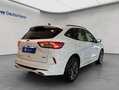 Ford Kuga 2.5 Duratec PHEV ST-LINE Blanc - thumbnail 8