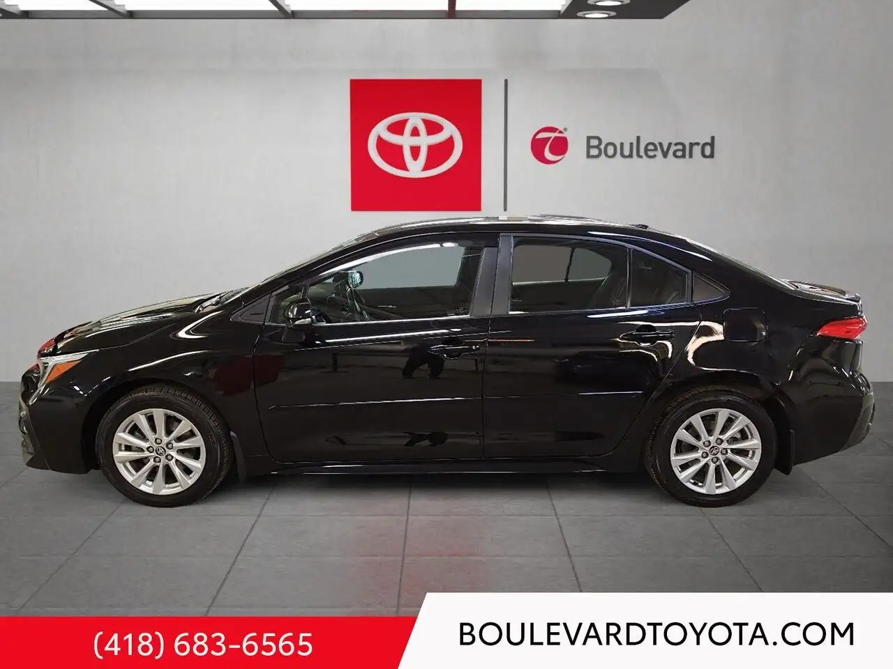 Toyota Corolla fotografie Toyota Corolla