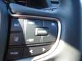 Lexus UX 250h Luxury Line 1,4kWh Aut. Schwarz - thumbnail 25