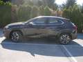 Lexus UX 250h Luxury Line 1,4kWh Aut. Schwarz - thumbnail 2