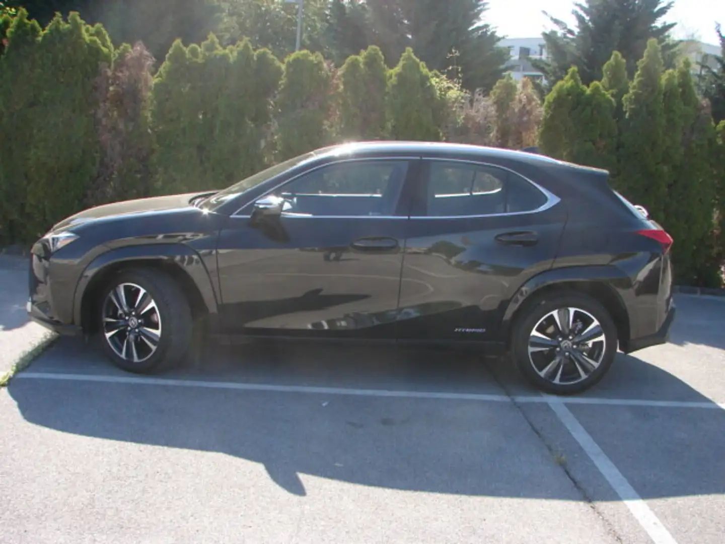 Lexus UX 250h Luxury Line 1,4kWh Aut. Schwarz - 2