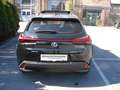 Lexus UX 250h Luxury Line 1,4kWh Aut. Schwarz - thumbnail 10