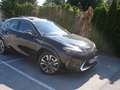 Lexus UX 250h Luxury Line 1,4kWh Aut. Schwarz - thumbnail 7