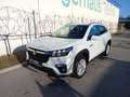 Suzuki S-Cross 1.4 HYBRID shine Bianco - thumbnail 8