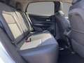 Nissan Ariya (87kWh|22kW-OBC) 360°Kamera/Navi/PDC Schwarz - thumbnail 10