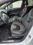 Ford Mondeo Mondeo 5-Türer 1.5Titanium ST-LINE*PANO*AHK* Blanc - thumbnail 14