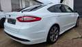 Ford Mondeo Mondeo 5-Türer 1.5Titanium ST-LINE*PANO*AHK* Blanc - thumbnail 6