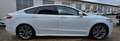 Ford Mondeo Mondeo 5-Türer 1.5Titanium ST-LINE*PANO*AHK* Blanc - thumbnail 5