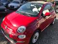 Fiat 500 1.3 Cabrio Lounge / PDC / Alus / 1.Hand Rot - thumbnail 1