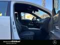 Mercedes-Benz B 220 d PROGRESSIVE*AHK*KAMERA*TOTWINKEL* Weiß - thumbnail 14