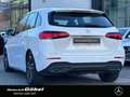 Mercedes-Benz B 220 d PRO-ADV AHK TOTW MB-LED WP KAM VZA SPI Wit - thumbnail 4