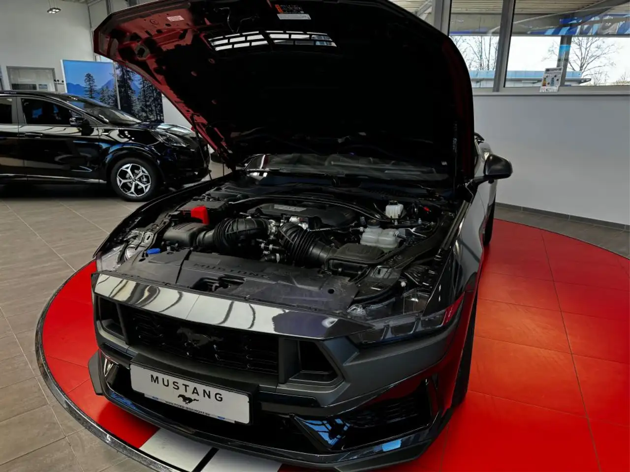 Ford Mustang Fastback 5.0 Ti-VCT V8 Aut. Dark Horse (S650) 8