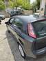Fiat Punto Evo 5p 1.3 mjt Dynamic s&s 95cv Gris - thumbnail 8