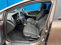 Kia Ceed SW / cee'd SW Cee'd Sportswagon**Automatik**90 TKM**Kamera**Le Braun - thumbnail 5