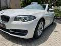 BMW 520 BMW 520 520d Touring xdrive-Luxury190cvTDI Bianco - thumbnail 8