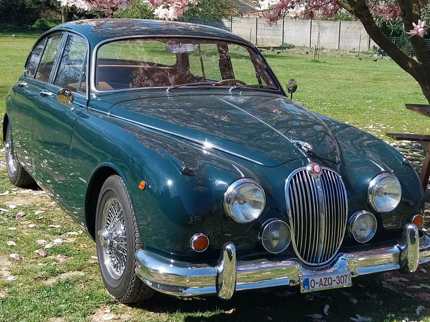 Jaguar MK II 3.8 manuelle overdrive oldtimer ancêtre Vert - 1
