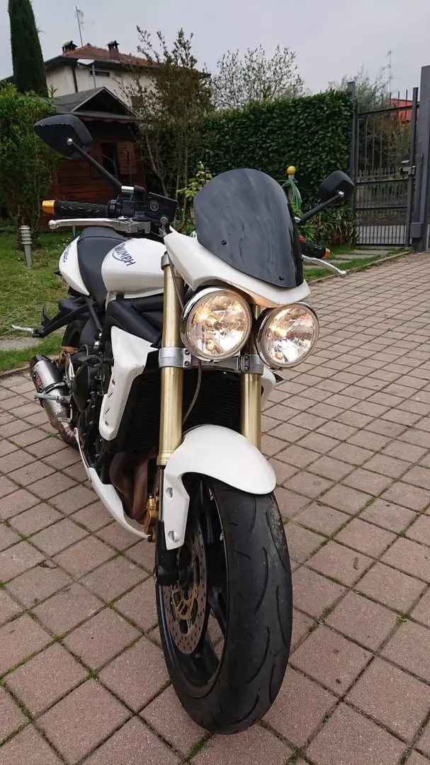 Triumph Street Triple 675 Blanco - 2