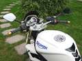 Triumph Street Triple 675 Blanco - thumbnail 5