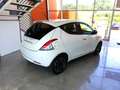 Lancia Ypsilon Ypsilon III 2015 1.2 Gold 69cv my16 Bianco - thumbnail 4