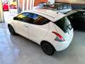 Lancia Ypsilon Ypsilon III 2015 1.2 Gold 69cv my16 Bianco - thumbnail 5