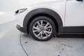 Mazda CX-30 2.0 Skyactiv-G Zenith Safety 2WD 90kW Blanco - thumbnail 11