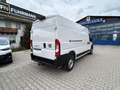 Fiat Ducato KASTENWAGEN MAXI 35 L3H2 180 AT Weiß - thumbnail 4