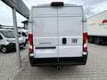 Fiat Ducato KASTENWAGEN MAXI 35 L3H2 180 AT Weiß - thumbnail 5