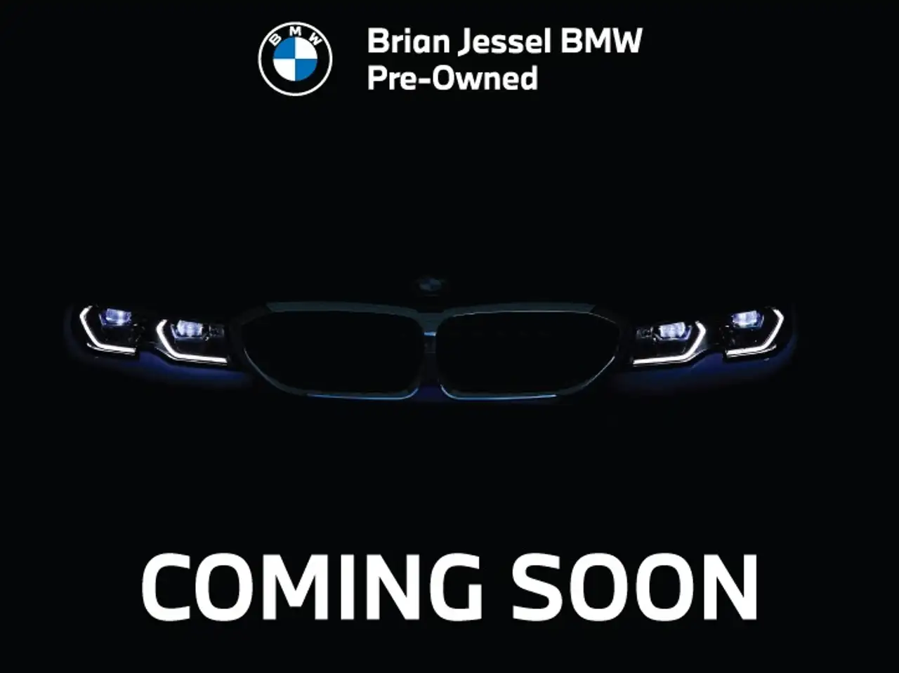 2023 BMW X6