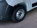 Fiat Ducato L2H1 MY25 30 120PS/RFK/KLIMA/RADIO/ 88 kW (120 ... Weiß - thumbnail 6