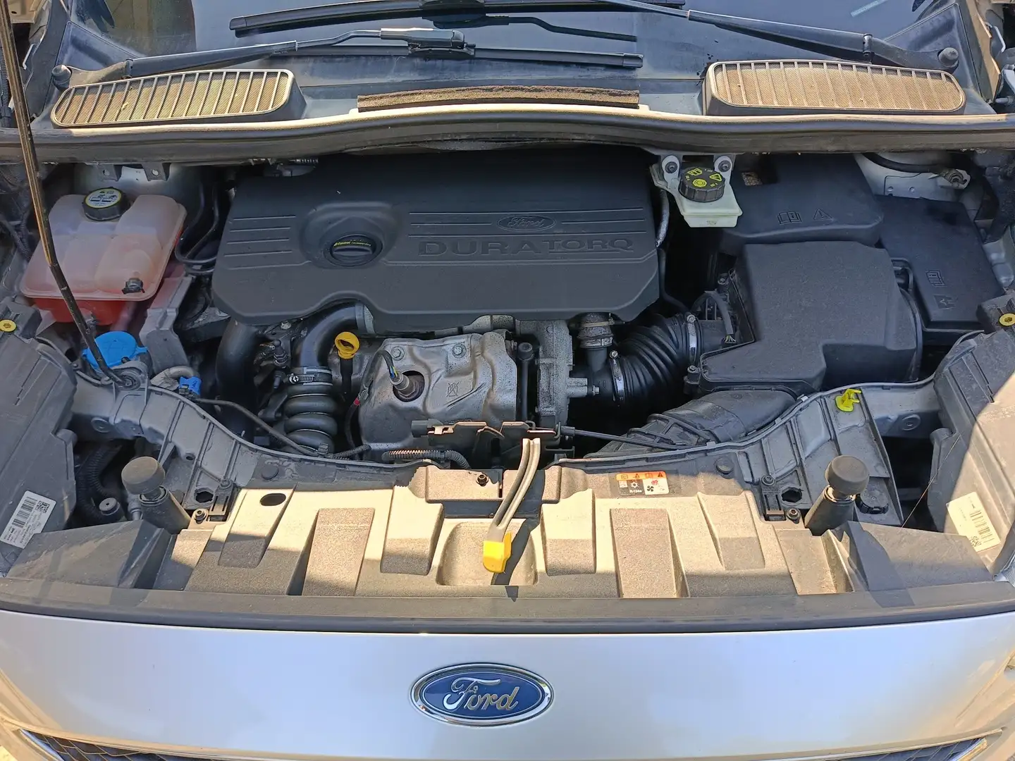 Ford C-Max 1.5 tdci Plus s&s 120cv - 1