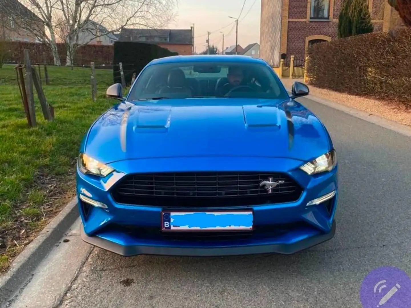 Ford Mustang Mustang 2.3 EcoBoost (EU6.2) Blauw - 2