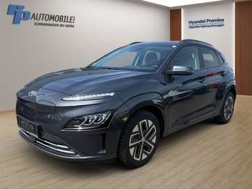 EV 39,2 kWh 2WD Trend-Paket Navi-Pa