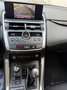 Lexus NX 300 300h 2.5 Business 2wd cvt Gris - thumbnail 14