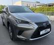 Lexus NX 300 300h 2.5 Business 2wd cvt Gris - thumbnail 3