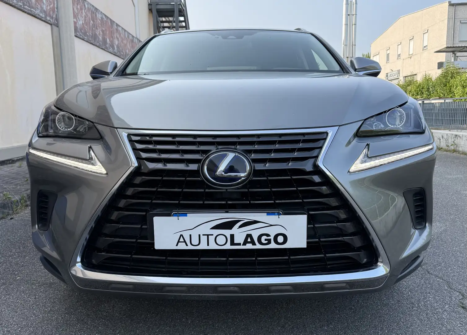 Lexus NX 300 300h 2.5 Business 2wd cvt Gris - 1