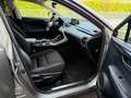 Lexus NX 300 300h 2.5 Business 2wd cvt Gris - thumbnail 10