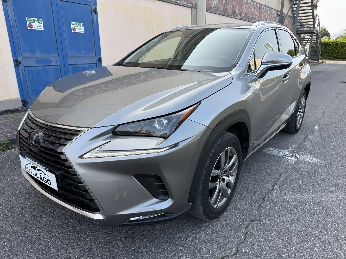 Lexus NX 300 300h 2.5 Business 2wd cvt Gris - 2