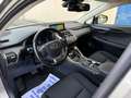 Lexus NX 300 300h 2.5 Business 2wd cvt Gris - thumbnail 13