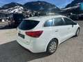 Kia Ceed SW / cee'd SW 1.6 Diesel Pickerl 1/2027 Weiß - thumbnail 3