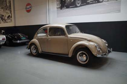 Volkswagen Beetle Beautiful Driver Restored (1967)
