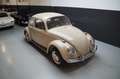 Volkswagen Beetle Beautiful Driver Restored (1967) Beige - thumbnail 24