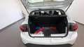 Dacia Sandero 1.0 ECO-G 100CV GPL STEPWAY EXPRESSION - * Bianco - thumbnail 12