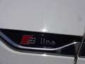 Audi A5 Sportback 40 2.0 tfsi mhev S line quattro 204cv Bianco - thumbnail 15