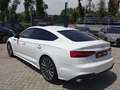 Audi A5 Sportback 40 2.0 tfsi mhev S line quattro 204cv Bianco - thumbnail 6
