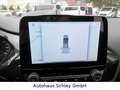 Ford Puma Titanium*Autom*LED*Winterp*18Zoll*Navi*1.H Blu/Azzurro - thumbnail 15